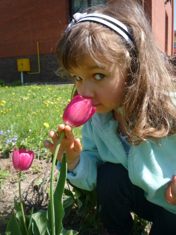 Tulipanki W końcu znalazłam...prawdziwa oznaka wiosny
