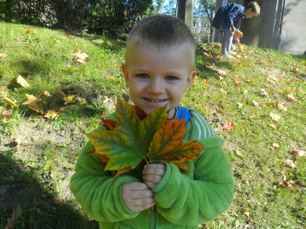 Zdjęcie zgłoszone na konkurs eBobas.pl Mój synek podczas zbierania liści do swoich&quot; małych dzieł sztuki&quot;.