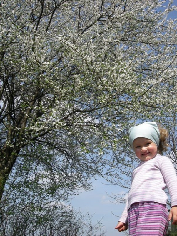 Zdjęcie zgłoszone na konkurs eBobas.pl popatrzcie wszyscy wiosna nastała i pięknie drzewka w kwiatuszki ubrała :&#41;