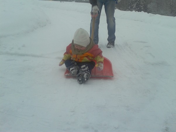 Zdjęcie zgłoszone na konkurs eBobas.pl Lilka testuje łopate do śniegu