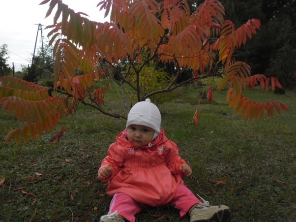 Czy to już jesień? Patrycja &#45; 11 miesięcy\nSiedzę pod tym drzewkiem i czekam na nadejście jesieni...\nO, chyba już jest z nami!