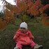 Patrycja &#45; 11 miesięcy\nSiedzę pod tym drzewkiem i czekam na nadejście jesieni...\nO, chyba już jest z nami!