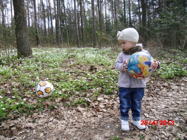 nie rozstaję się z piłeczkami :&#41; Gabrysia uwielbia grać w piłkę i chodzić na spacery do lasu, więc łączy jedno z drugim i piłeczki zabiera do lasu na spacer :&#41;