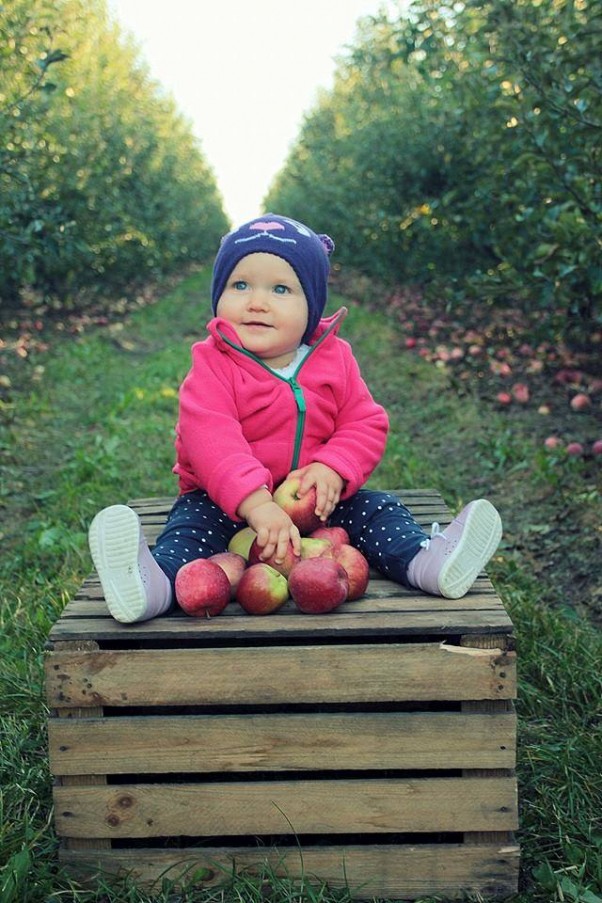 Lenka &#45; pomocnik w zbieraniu jabłuszek Lenka to fajna dziewuszka i bardzo lubi jabłuszka.\nWszystkie spady pod drzewami wyzbiera swoimi rączkami :&#41; 