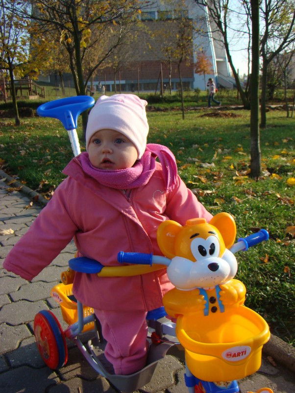 Zdjęcie zgłoszone na konkurs eBobas.pl Mój rowerek jest tak kolorowy jak jesień :&#41;