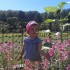 Karolinka &#45; najpiękniejszy kwiatuszek wśród tysiąca kwiatów u prababci na działeczce :&#41;