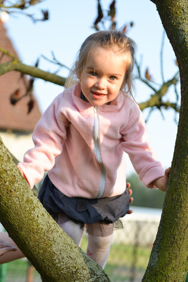 Zdjęcie zgłoszone na konkurs eBobas.pl Z radością wdrapuję się na drzewo i z wysokości oglądam świat. 