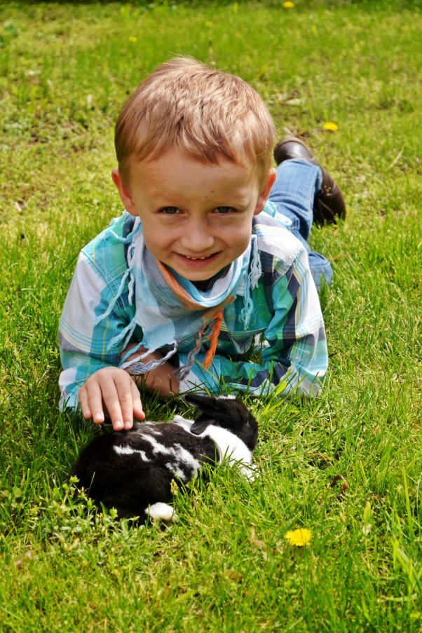 Zdjęcie zgłoszone na konkurs eBobas.pl Kubuś wiosną uwielbia u dziadzia spędzać czas na łące ze swoim malutkim króliczkiem!