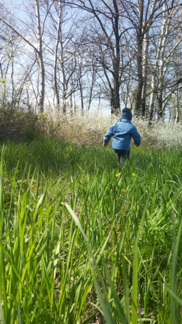 iść ciągle iść w strone wiosny....... Wreszczie mamy wiosne, zieleń aż zacheca do długich spacerów.  Oczywiście Dawidek chadza własnymi ścieżkami, a mamusia grzecznie za nim ;&#45;&#41; 