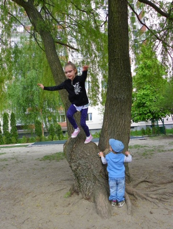 Kinga uważaj!!!!!! &quot;Gdzie tam wchodzisz?&quot; wołał mały Janek, a potem &quot;skacz tu do mnie&quot;. Kiedy już Kinga zeskoczyła byłam dumna z maluszka, że on dba o bezpieczeństwo siostry. Ale duma szybko się skończyła, kiedy Jaś zawołał&quot; teraz moja kolej na drzewo!!&quot;