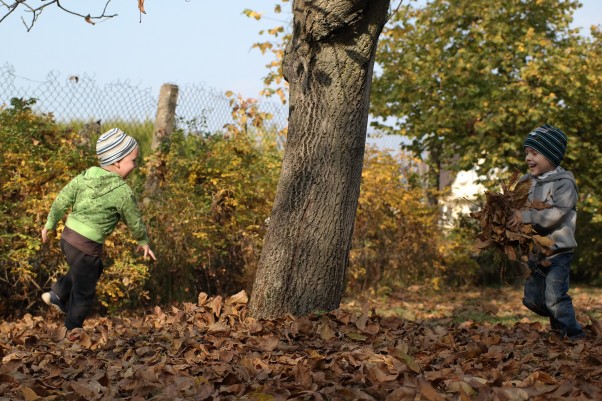 Zdjęcie zgłoszone na konkurs eBobas.pl 