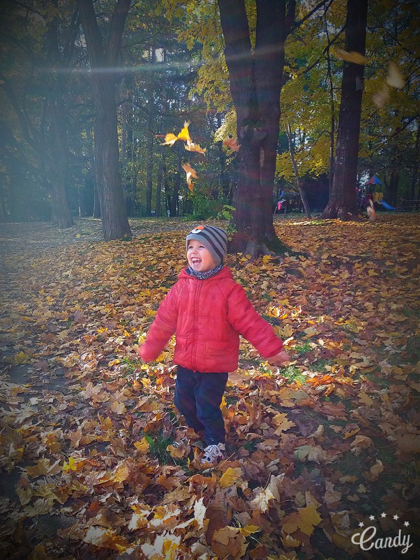 Zdjęcie zgłoszone na konkurs eBobas.pl Je­sień ob­sy­puje złotem liście drzew\nniebo zachodzącym słońcem urzeka\nba­bie la­to pieści jak cu­dow­ny sen\nby zachwy­cić się uśmie­chem człowieka…