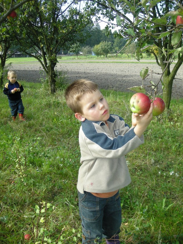 owocowa uczta bierzemy co natura daje