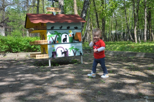 Zdjęcie zgłoszone na konkurs eBobas.pl W zoo koty są najfajniejsze ;&#41;