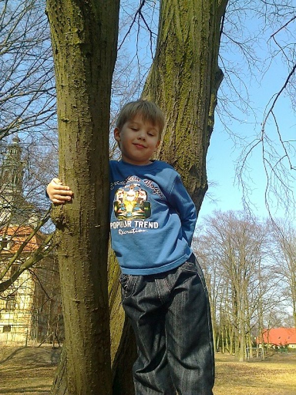 Zdjęcie zgłoszone na konkurs eBobas.pl Chodzenie po drzewach to nie tylko małpie zajęcie Danielek też lubi wspinać się na drzewa.6lat