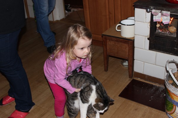 Zabawa z kotkiem Kotek Agnieszek też lubi się z nią bawić.