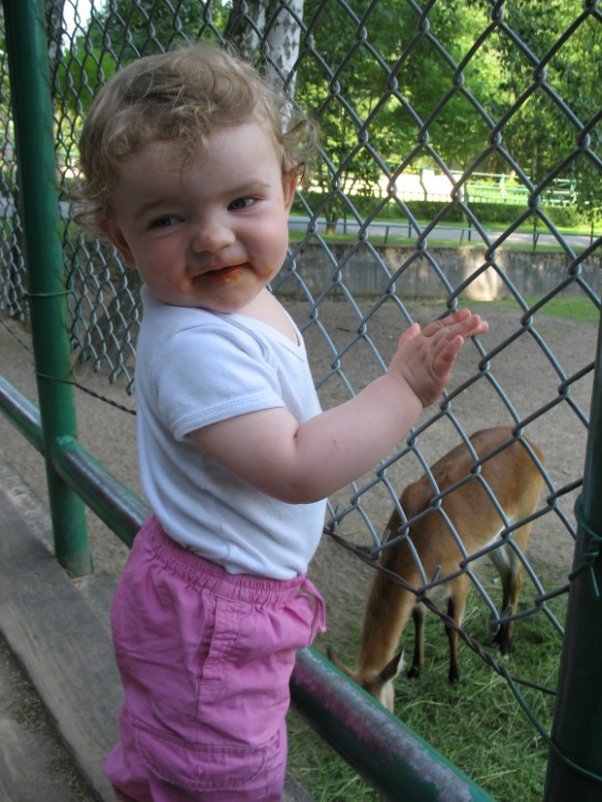 IMG_0919.JPG Najedzona Ania i sarenki z Oliwskiego ZOO