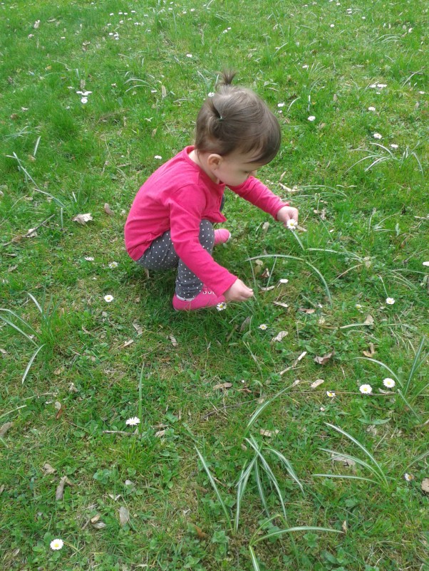 Zdjęcie zgłoszone na konkurs eBobas.pl Zosia uwielbia biegać po trawie i zbierać kwiatuszki :&#41;