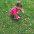 Zosia uwielbia biegać po trawie i zbierać kwiatuszki :&#41;