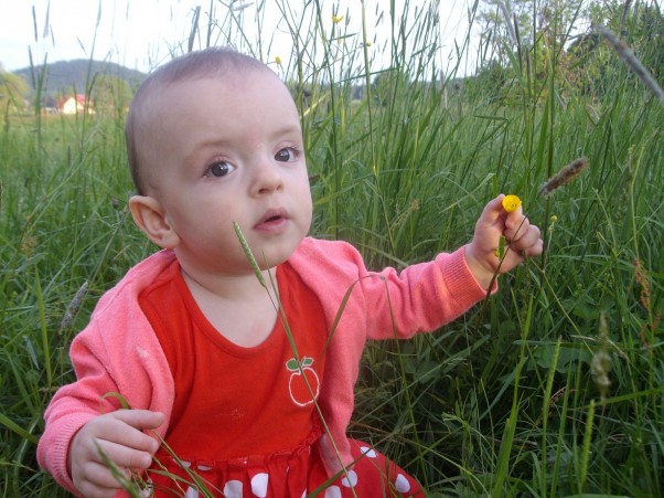 Zdjęcie zgłoszone na konkurs eBobas.pl Zosia w wysokiej trawie :&#41; Gdzie zielono tam jest fajnie :&#41;