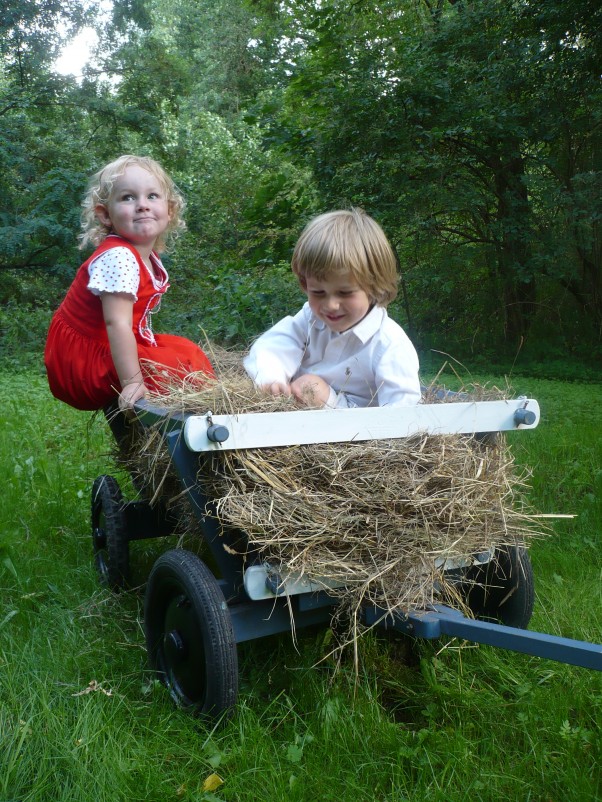 Zdjęcie zgłoszone na konkurs eBobas.pl U babci w ogródku