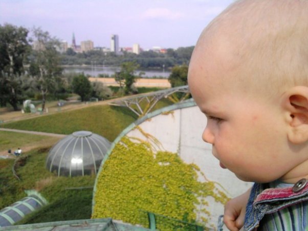 P22&#45;08&#45;09_15.01.jpg Kacper patrzy zachwycony na Powiśla piękne strony. Bo ogrody te na dachu są najlepsze w swoim fachu