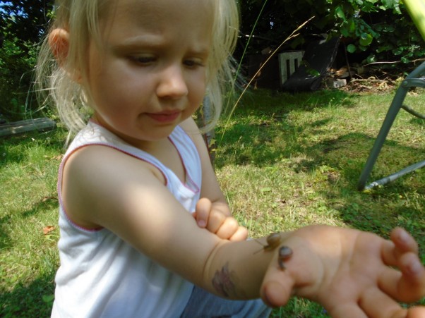 Julka odkrywa uroki przyrody „mamo, mamo! zobacz jakie mam ślimaki, są piękne i śliczne!”