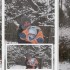Bartoszek na śniegu 