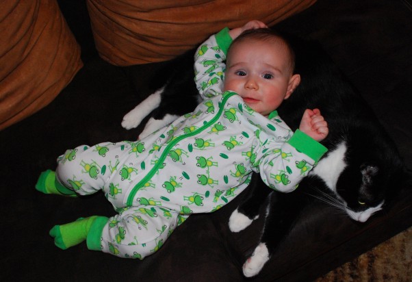 Pierwsze koty za płoty :&#41; Leonek zawiera pierwszą przyjaźń w swoim życiu