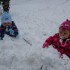 Bliźniaki Antoś i Zuzia mają prawie skończone 16miesięcy jak wychodzą na dwór to prawie jak ich nie ma zapominają o wszystkim liczy się tylko śnieg i dobra zabawa w nim, ich pierwszy śnieg w tym roku wiec i zachwyt musi być w oczach dziecka :&#41;