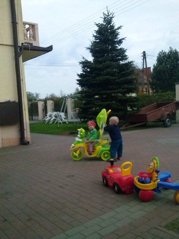 Zdjęcie zgłoszone na konkurs eBobas.pl Wariaty