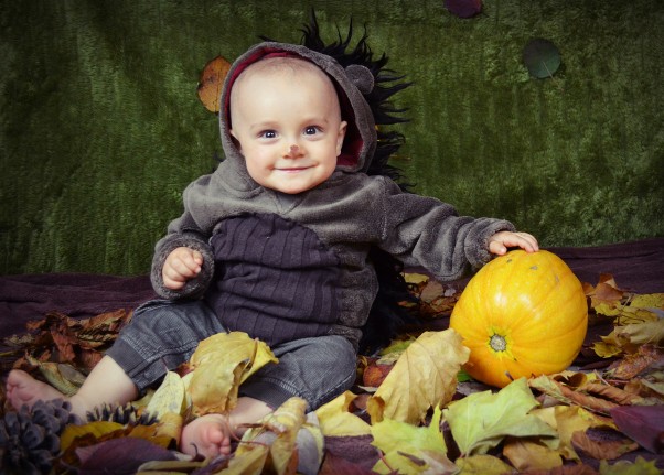 Zdjęcie zgłoszone na konkurs eBobas.pl Jesienne zdjęcie mojego synka Mikołaja, sama wykonałam. Ile było śmiechu i zabawy przy zbieraniu liści, szyszek, żołędzi.