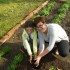 Oliwia i ja pasję do ogrodów dzielimy\nSporo czasu wśród zieleni spędzamy\nW trakcie pracy zawsze dobrze się bawimy\nPrzyjemne z pożytecznym skutecznie łączymy.