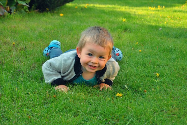 Pawełek Szczęście to móc wytarzać się w trawie a mama niech się martwi o plamy :&#41;
