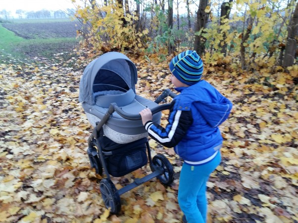 Zdjęcie zgłoszone na konkurs eBobas.pl Moje dwa kochane Jesienne Skarby :&#41; Listopadowy 2008 i Październikowy 2016 :&#41; \nI jak tu nie kochać jesieni. \n\nJesienna mama jesiennych chłopaków &lt;3 