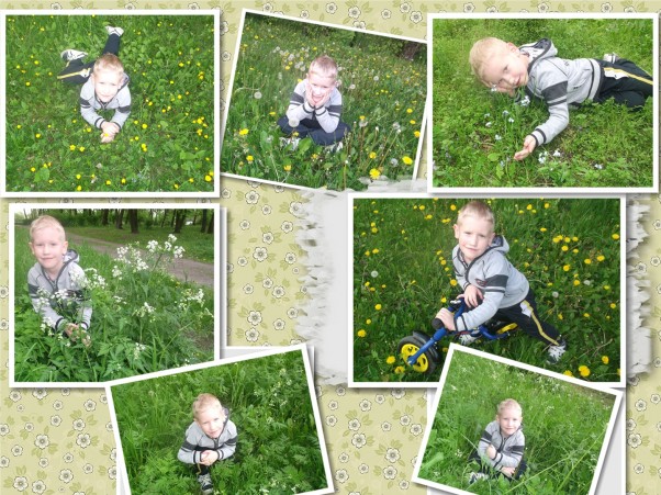 gram w zielone W poszukiwaniu nie tylko zielonego...Szymek w parku znalazł jeszcze kwiatki w kolorze białym,żółtym,niebieskim.Wiosna to piękna pora roku!