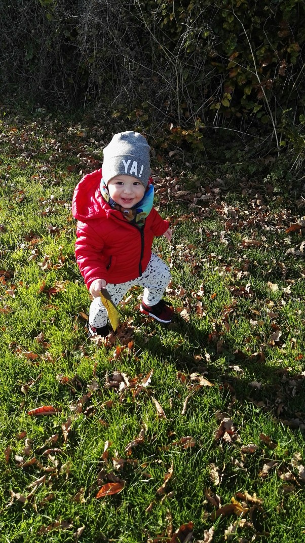 Jesienny spacer  Alanek  na spaceru z listkiem 
