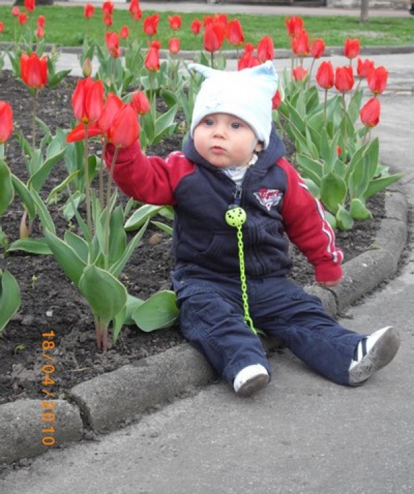 Zdjęcie zgłoszone na konkurs eBobas.pl Te tulipanki są tylko troszeczkę niższe ode mnie:&#41;