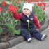 Te tulipanki są tylko troszeczkę niższe ode mnie:&#41;