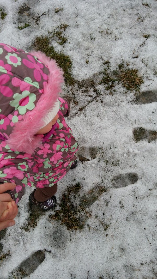 Śnieżny odcisk stopki Chodząc po śniegu można zobaczyć wiele. Julii najbardziej spodobał się odcisk jej buta zanurzonyw białym puchu. Mała rzecz a cieszy:&#41; 