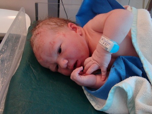 Fifi Godzina 7:35, 3710 gram, 55 cm