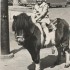 Konie były moją pasją od dziecka, czasmi myślę, że już jako niemowlę je kochałam...