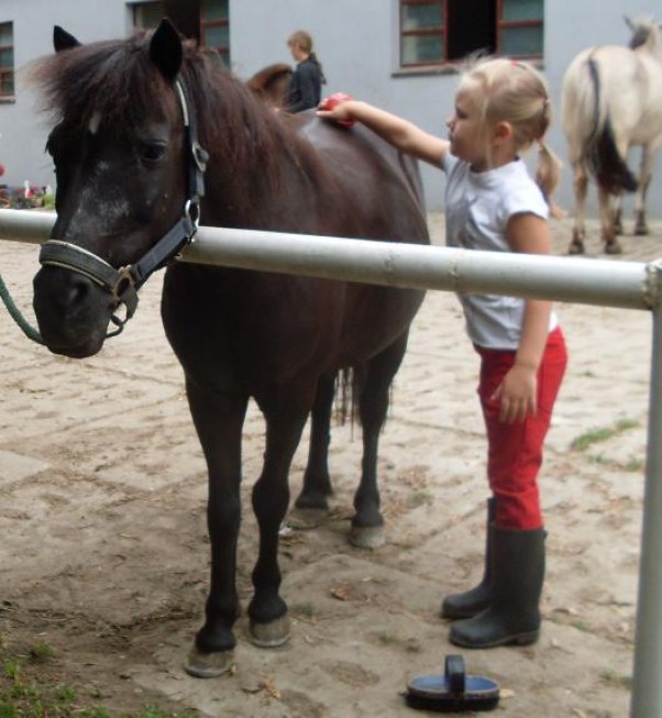 Zdjęcie zgłoszone na konkurs eBobas.pl Czyszczenie konia to też gimnastyka ;&#41;