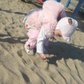 zabawa w piasku