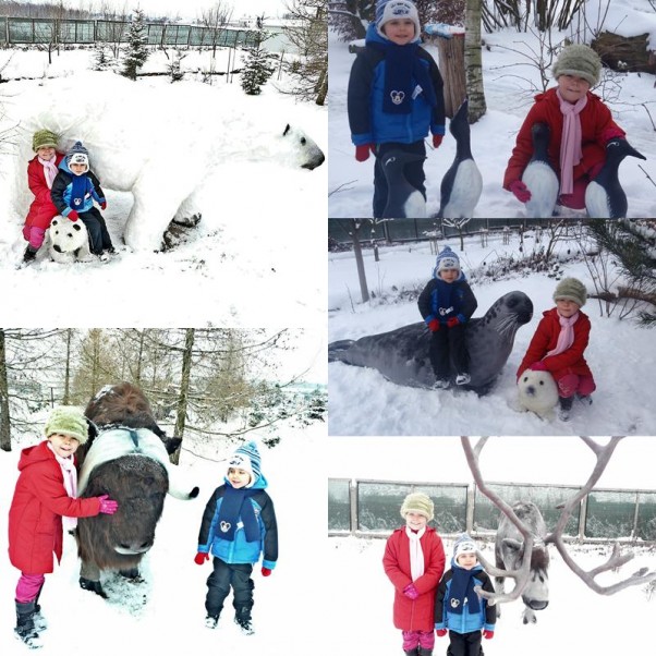 Zimowe hobby:&#41; Zimą takie hobby mamy, ze zwierzątka odwiedzamy :&#41;
