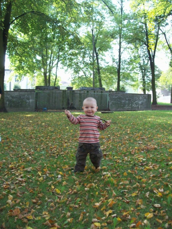 Filipek w parku Mój synek docenia dary natury i godzinami potrafi bawić się patykami i liśćmi :&#41;