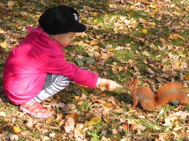 Jesień kolorowa... Karmienie wiewiórek&#45; to co małe dziewczynki lubią  najbardziej :&#41;