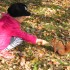 Karmienie wiewiórek&#45; to co małe dziewczynki lubią  najbardziej :&#41;