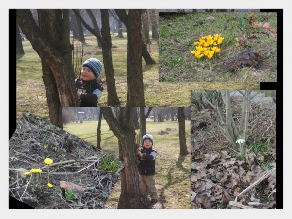 Zdjęcie zgłoszone na konkurs eBobas.pl Kamilek i jego odkrycia wiosenne...oczywiscie za każdym razem chciał piekne kwiatki wziasc ze sobą do domku...aby pokazac tatusiowi:&#41;