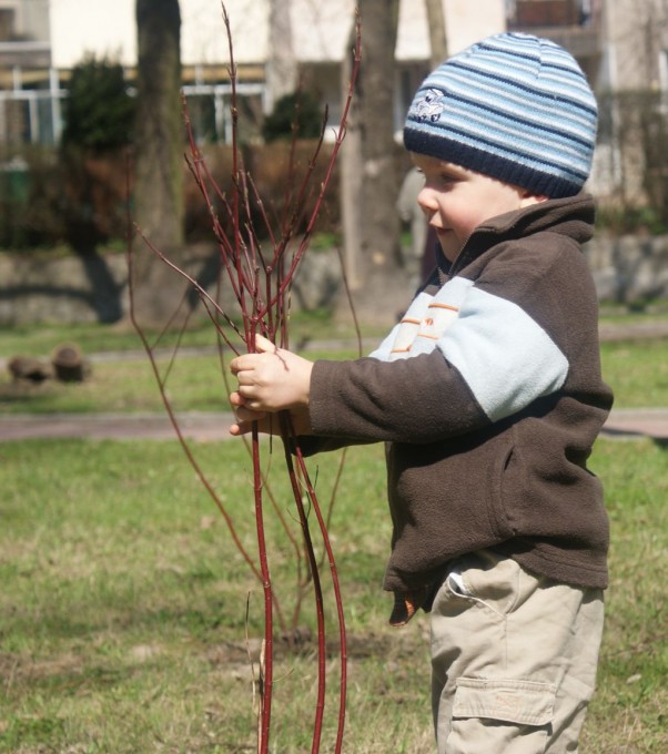 Zdjęcie zgłoszone na konkurs eBobas.pl w poszukiwaniu wiosny.....liści:&#41;